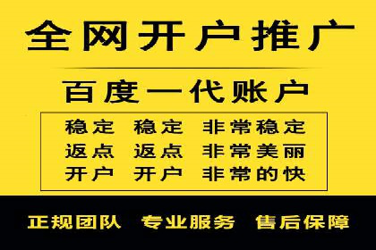 搜索引擎营销（SEM）的精准投放技巧案例