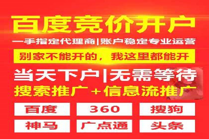 某电商平台信息流广告的精准推广策略