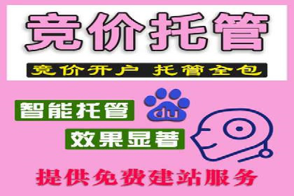 某电商平台的SEM推广策略全解析